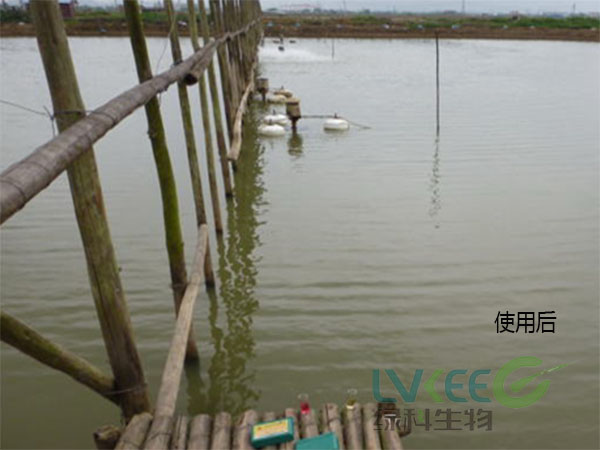 pH值偏高处理后