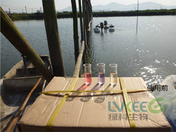 pH值偏高处理前